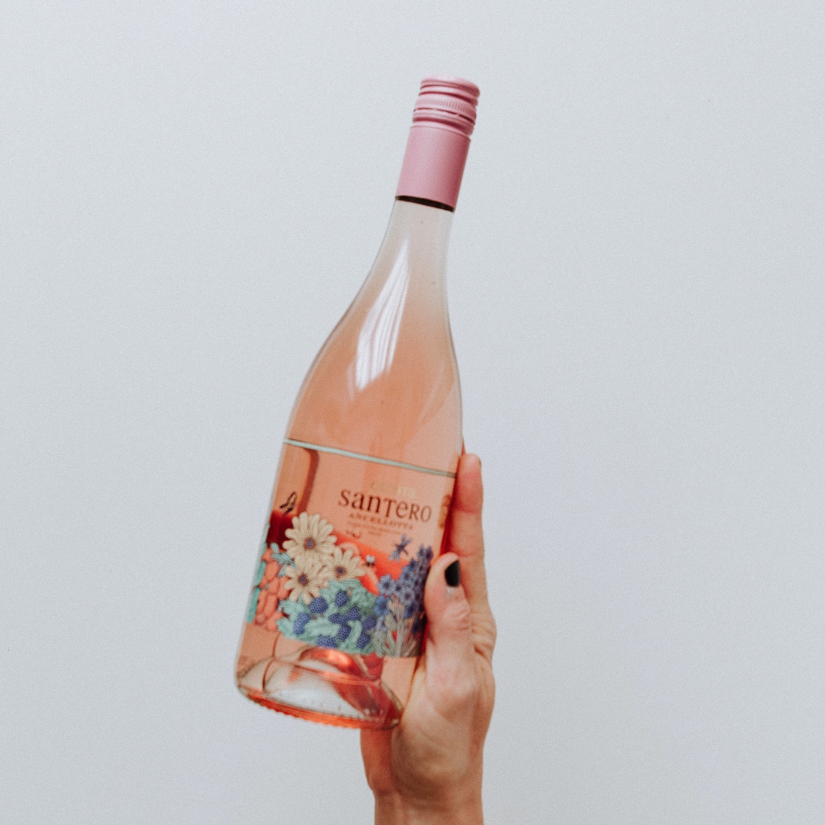 Quinta Santero Ancellotta Rosado