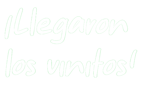 llegaron3